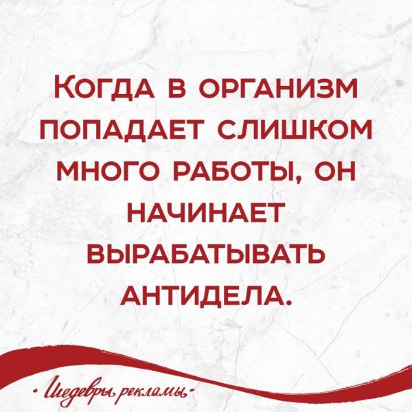 Всяческие картинки 27.12.2021