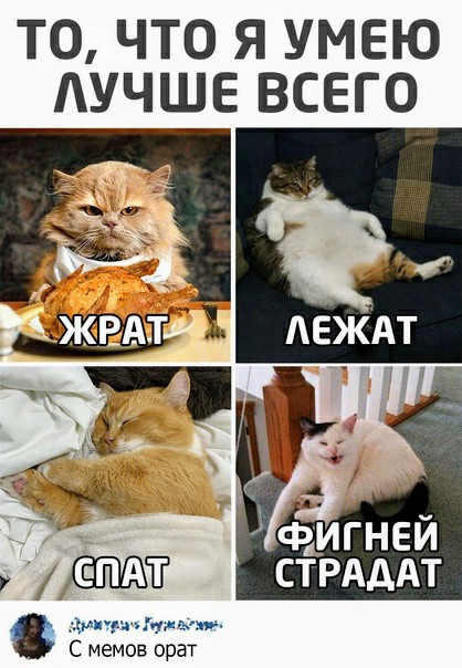 Картинки и мемы для настроения  - 27