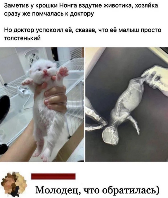 Улыбнись, не грусти!