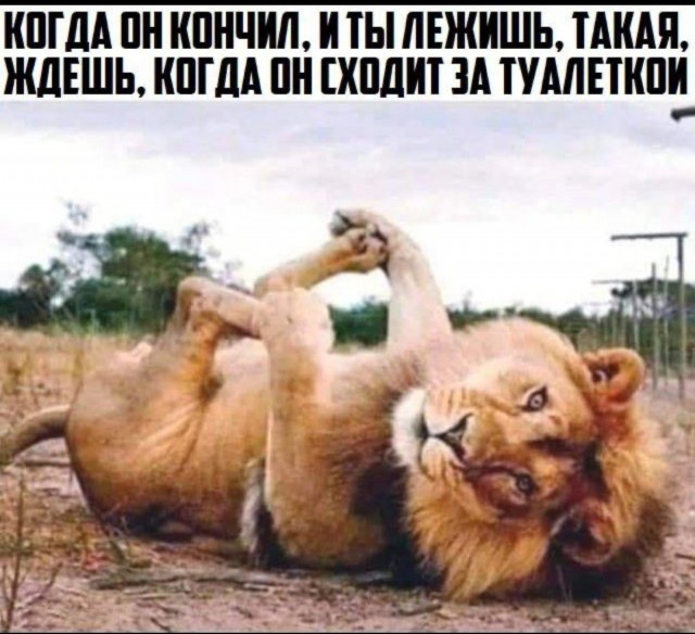 Картинки аморальные и всякие разные - 28