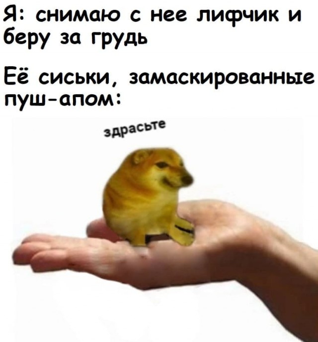 Лифчик