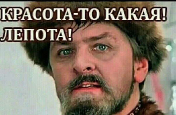 Психанул