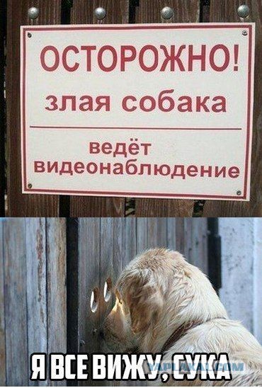 Так себе картинки 22.11.22