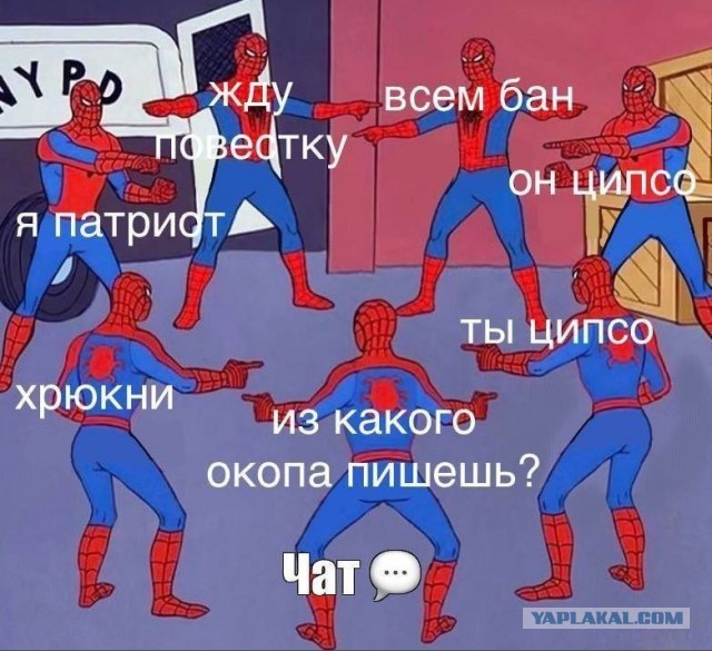 Министр обороны Шойгу предложил поэтапно увеличить возраст призыва с 18 до 21 года