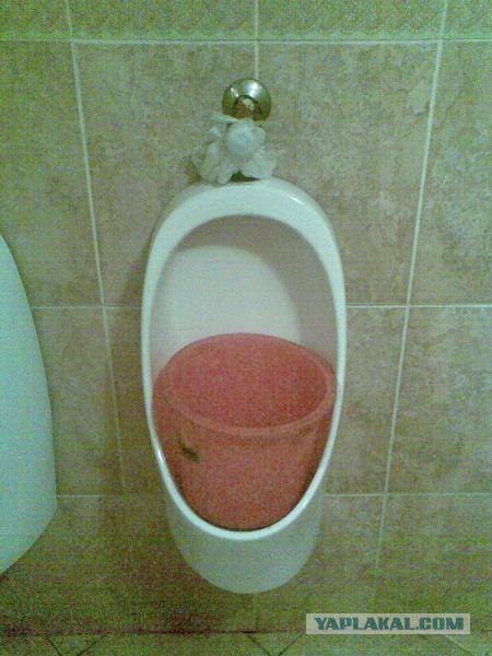 Приколы из Казахстана