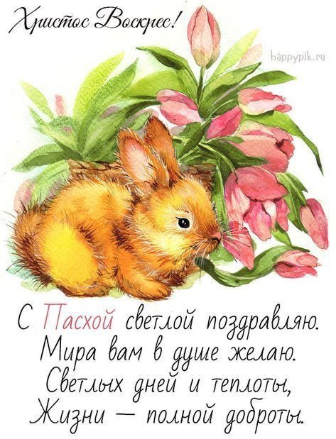 Как же они зае*али! Пасхальная эпидемия идиотов в месенжерах.