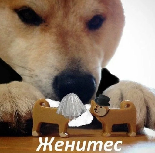 Сколько любовников должно быть у женщины после 50?