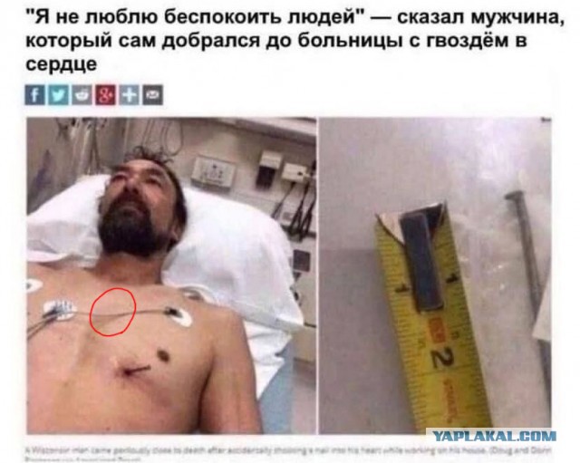 Так себе картинки 15.09.23