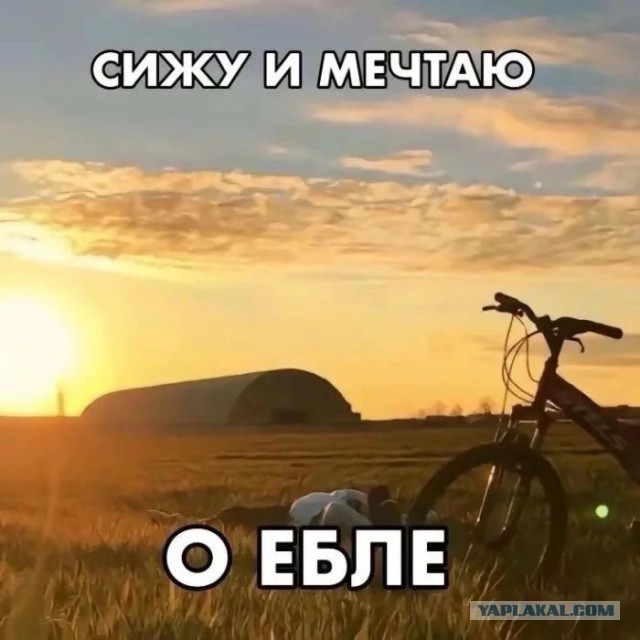 Приколы в понедельник