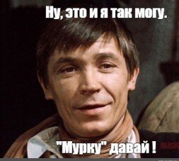 Шерстяной музыкант