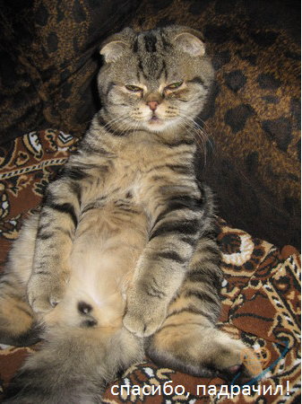 Хорошее вертикальное видео!