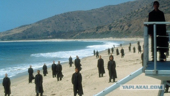 Утки впервые увидели ливень и зависли