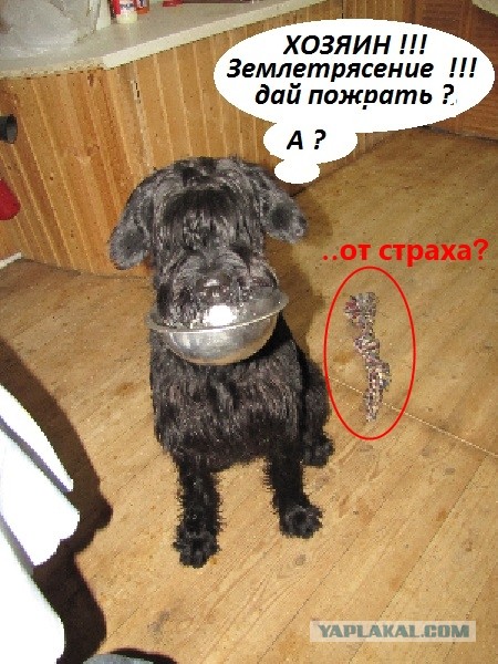 Землетрясение в Москве