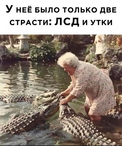 Возвращаешься домой, а там крокодилы..