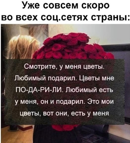 Так себе картинки 12.02.25