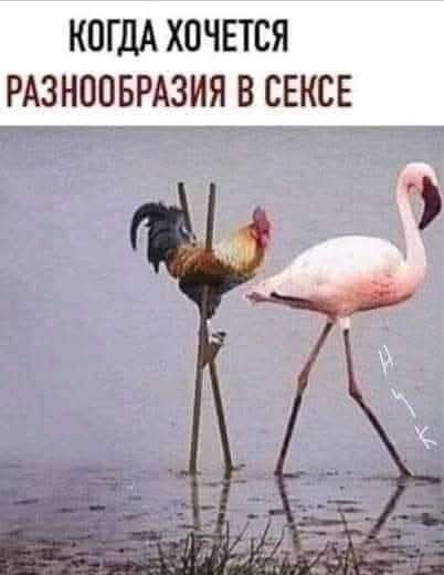 Маленькая пятница 26.03.25