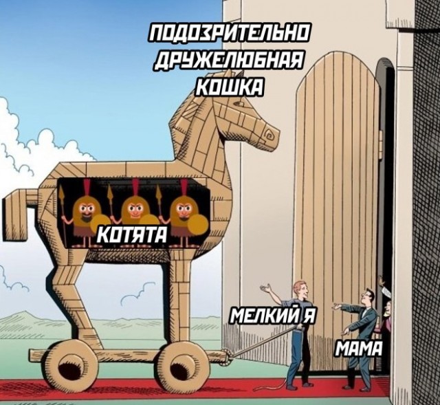 К котовторнику: подборка картинок-баянов с котиками и про котиков. Выпуск 10