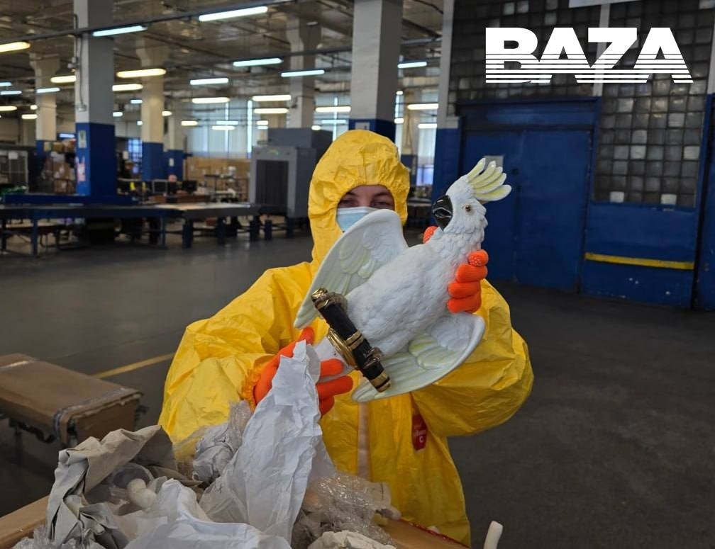 Радиоактивный попугай «задержан» на таможне в Москве