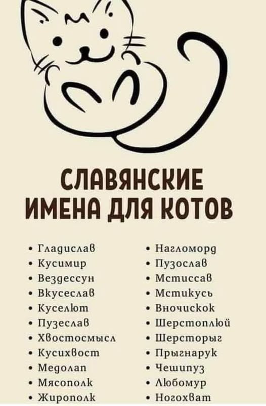 Воскресные картинки