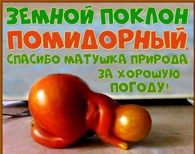 Всех с Покровом, фото на Покров