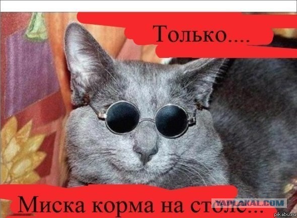 Рюмка водки на столе