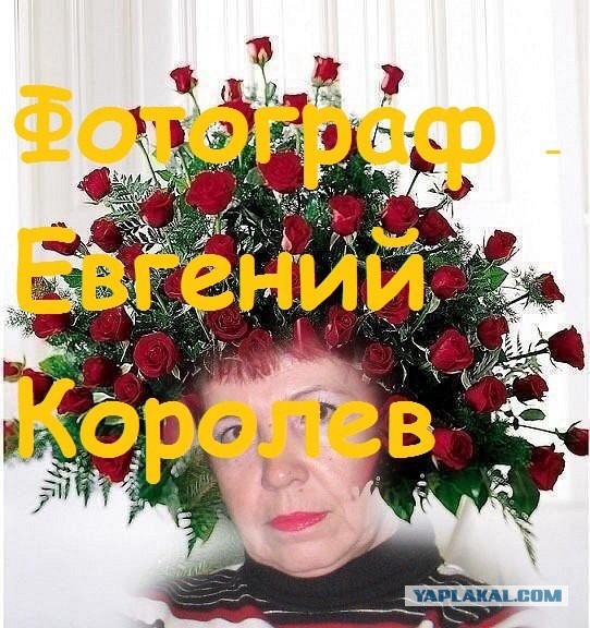 В сети взлетело видео свадебного видеографа из Минска