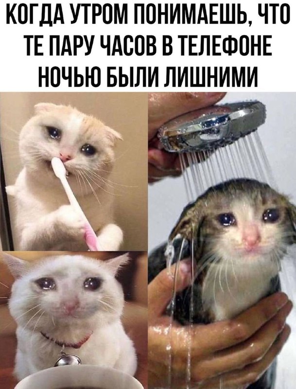 Субботние картинки