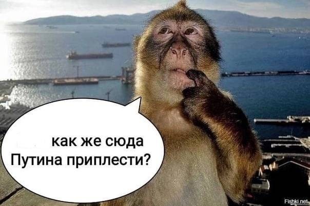 Классики