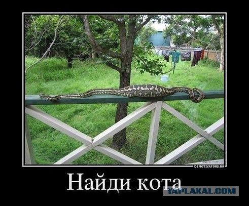 Картинки из закромов памяти