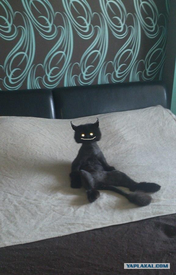 Котейка, который не знает как лежат котейки
