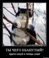 Экстрим