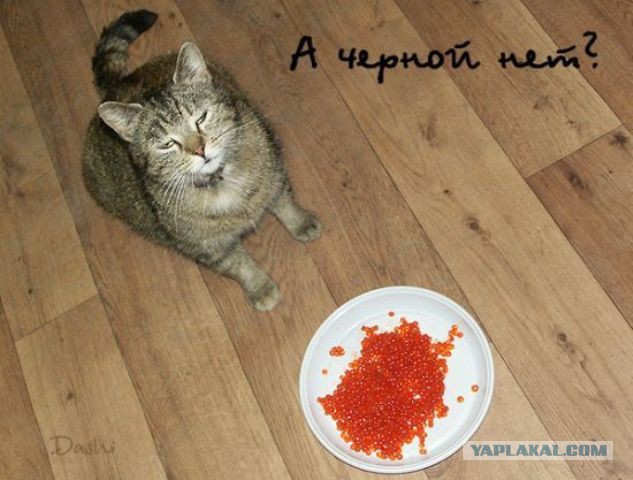 Обычный день..