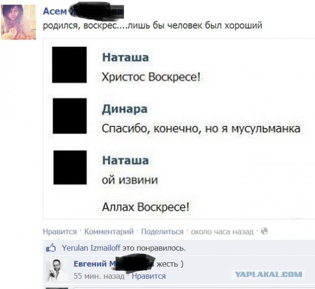 Смешные комментарии из социальных сетей
