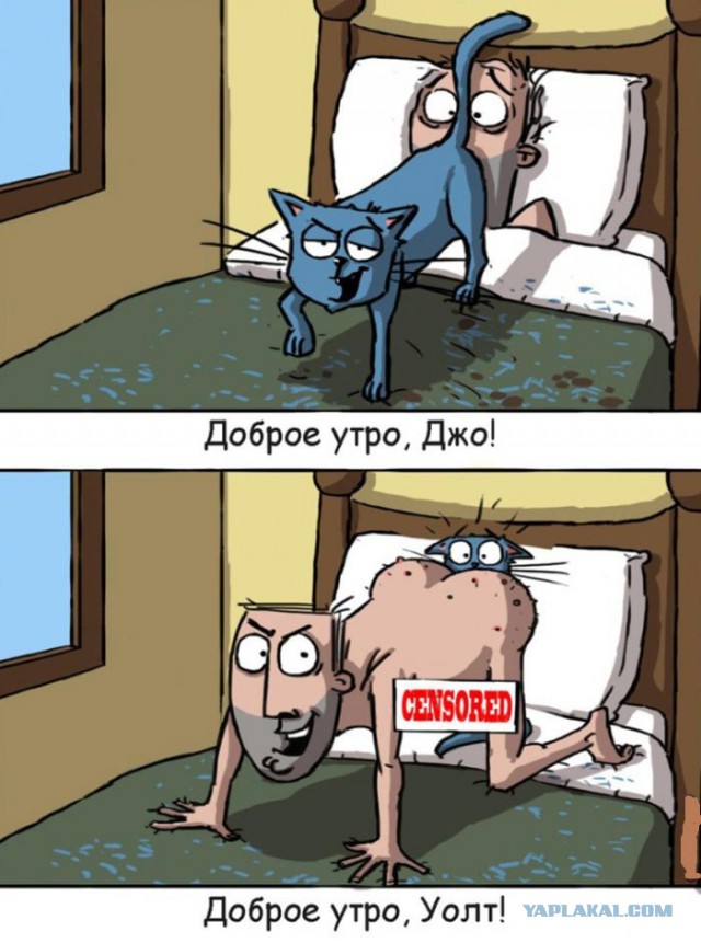 Весёлые картинки. Разбавим будни