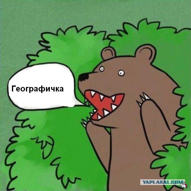 Очередная "Света из Иваново"...