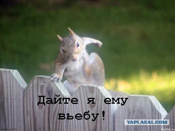 Яценюк выступил в Донецке 11-04-14