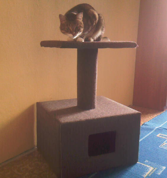 Дом для кота на скорую руку