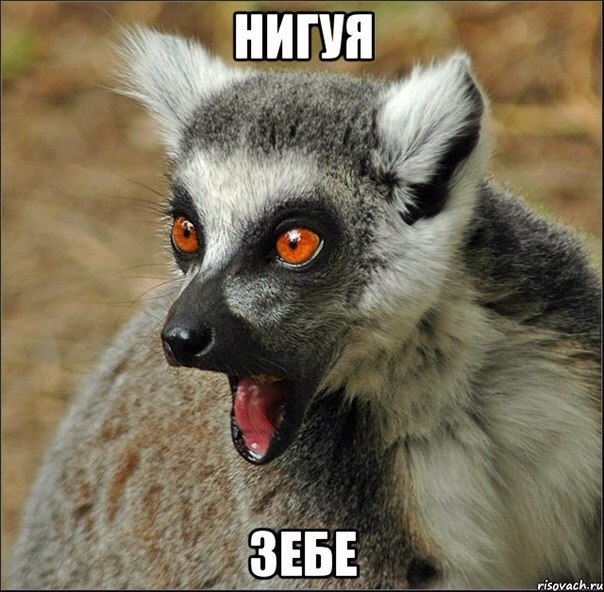 Чай. Узбагоительный.