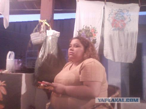 Палево от QIP 2010