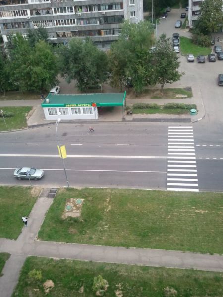 Весёлые картинки