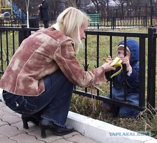 Весёлое из сети