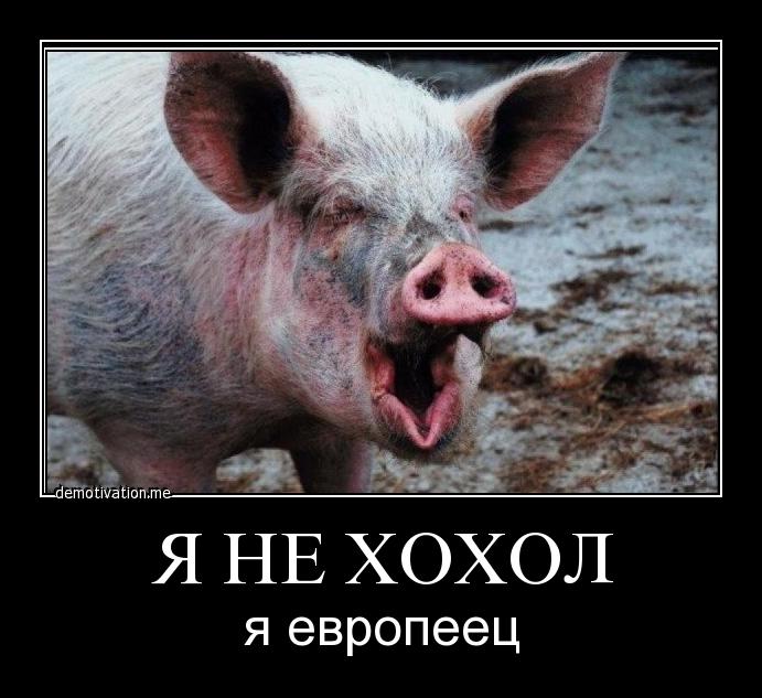 http://s00.yaplakal.com/pics/pics_original/9/7/5/4510579.jpg