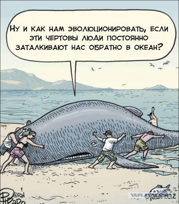 Ничего святого, просто бизнес