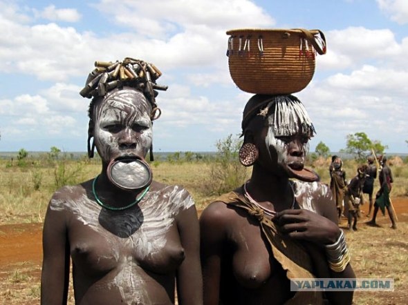 Сиськи в Африке. Этнографическое исследование