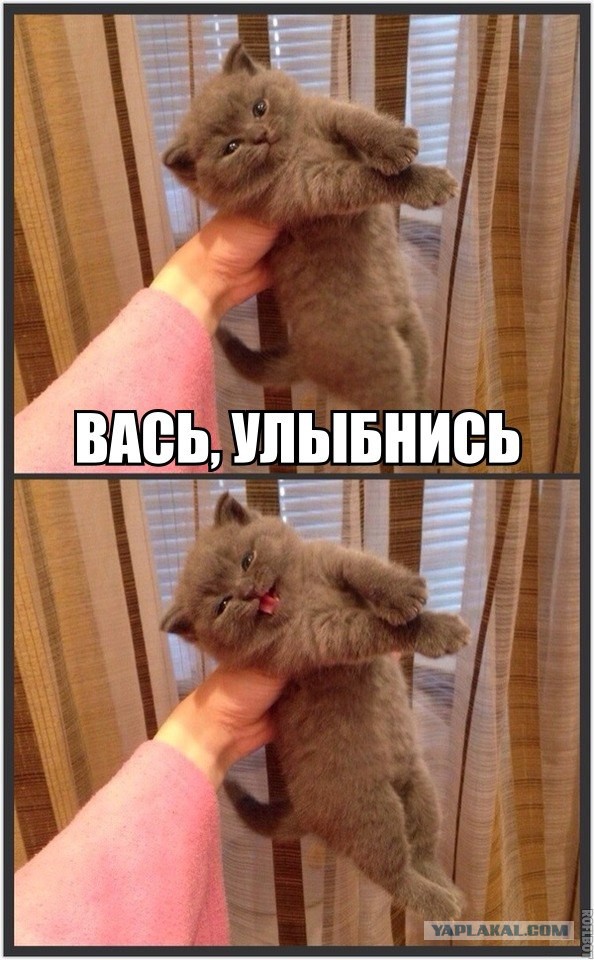 Веселые картинки на пятницу