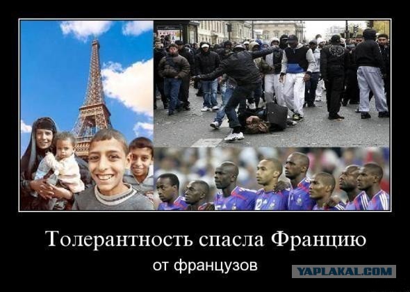 Толерантная