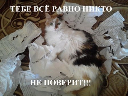 Обидели котейку? Получите, распишитесь!