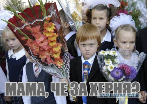Картинки разные
