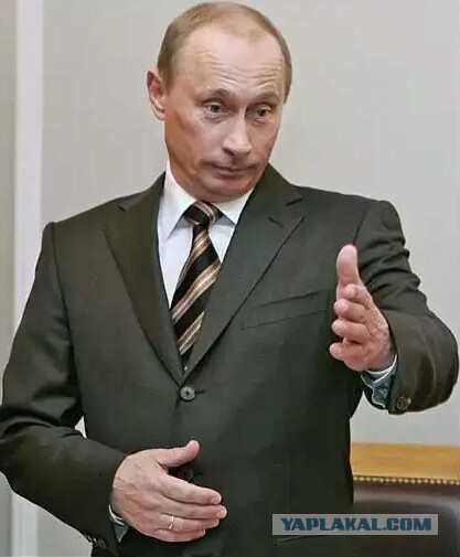 Юная липчанка обратилась к Владимиру Путину