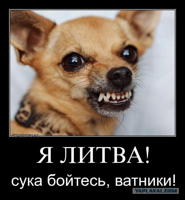 Аннексия Калининграда